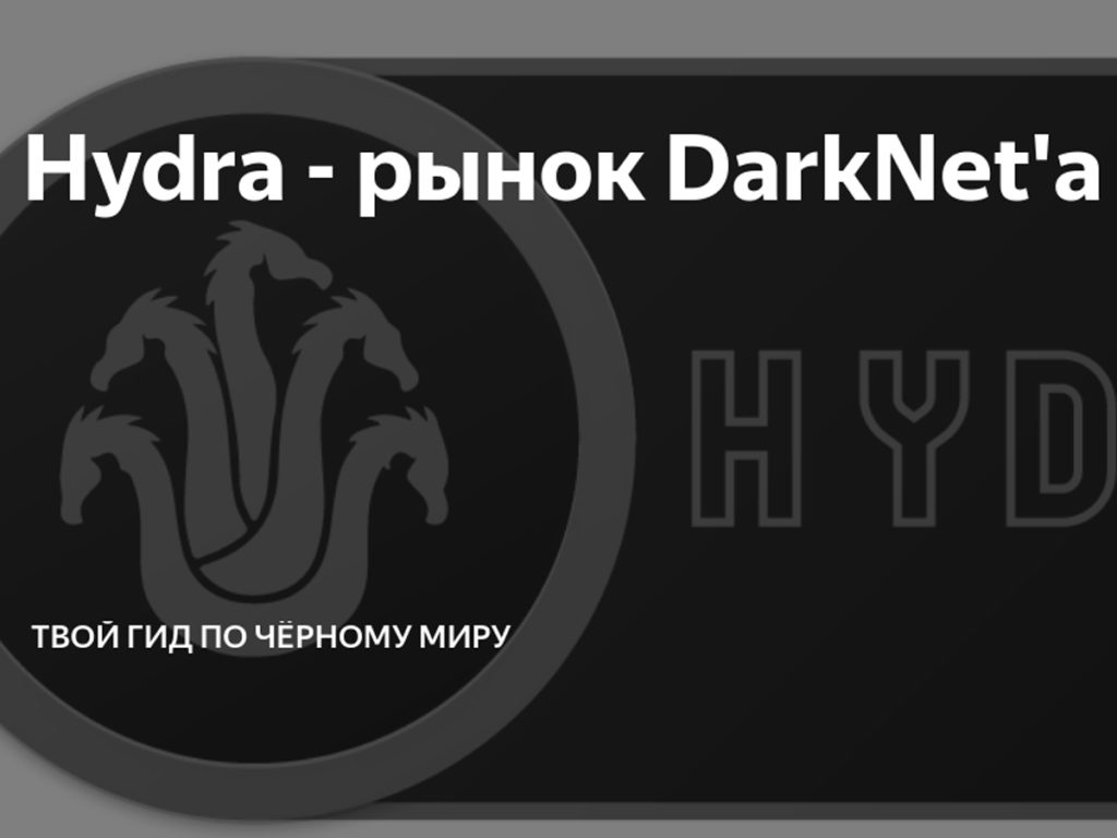 Kraken darknet sliv php