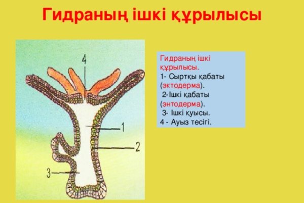 Darknet как войти